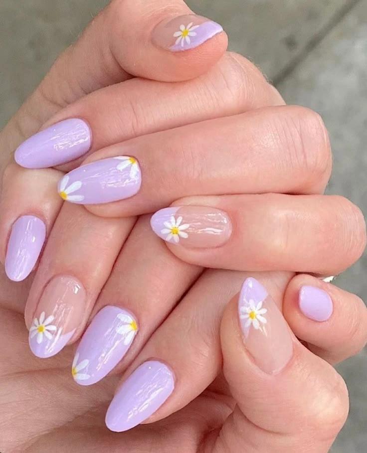 Lavender Daisy French